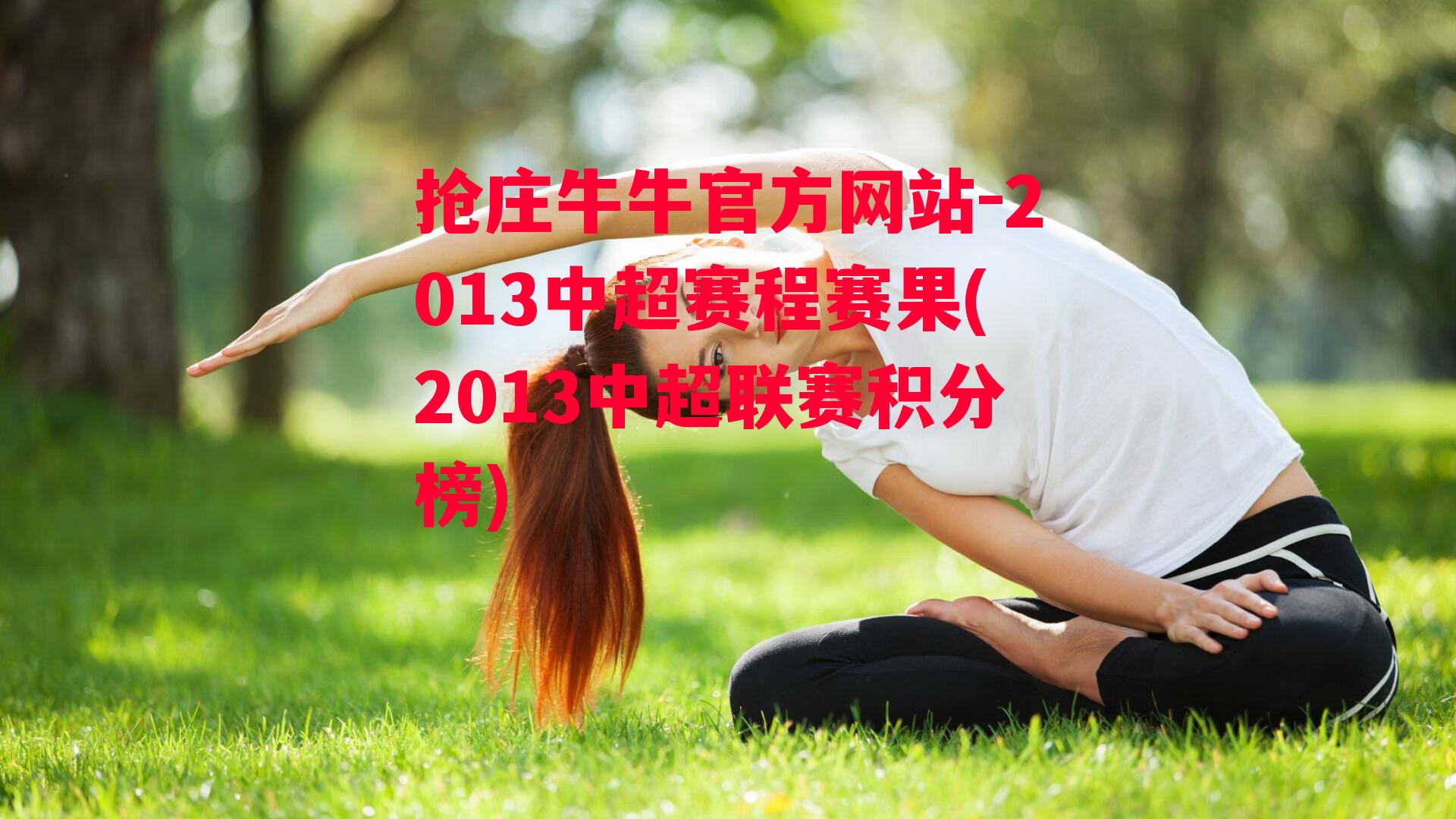 2013中超赛程赛果(2013中超联赛积分榜)